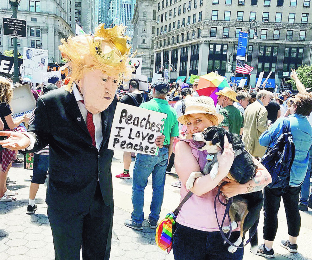  Usunąć Trumpa