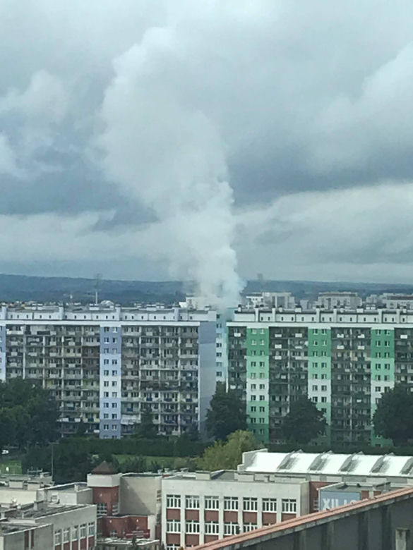 W Rzeszowie płonie mieszkanie w bloku nr 24 na Podwisłoczu