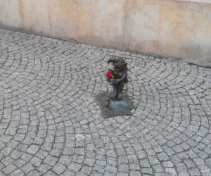 Para krasnali na wrocławskim rynku