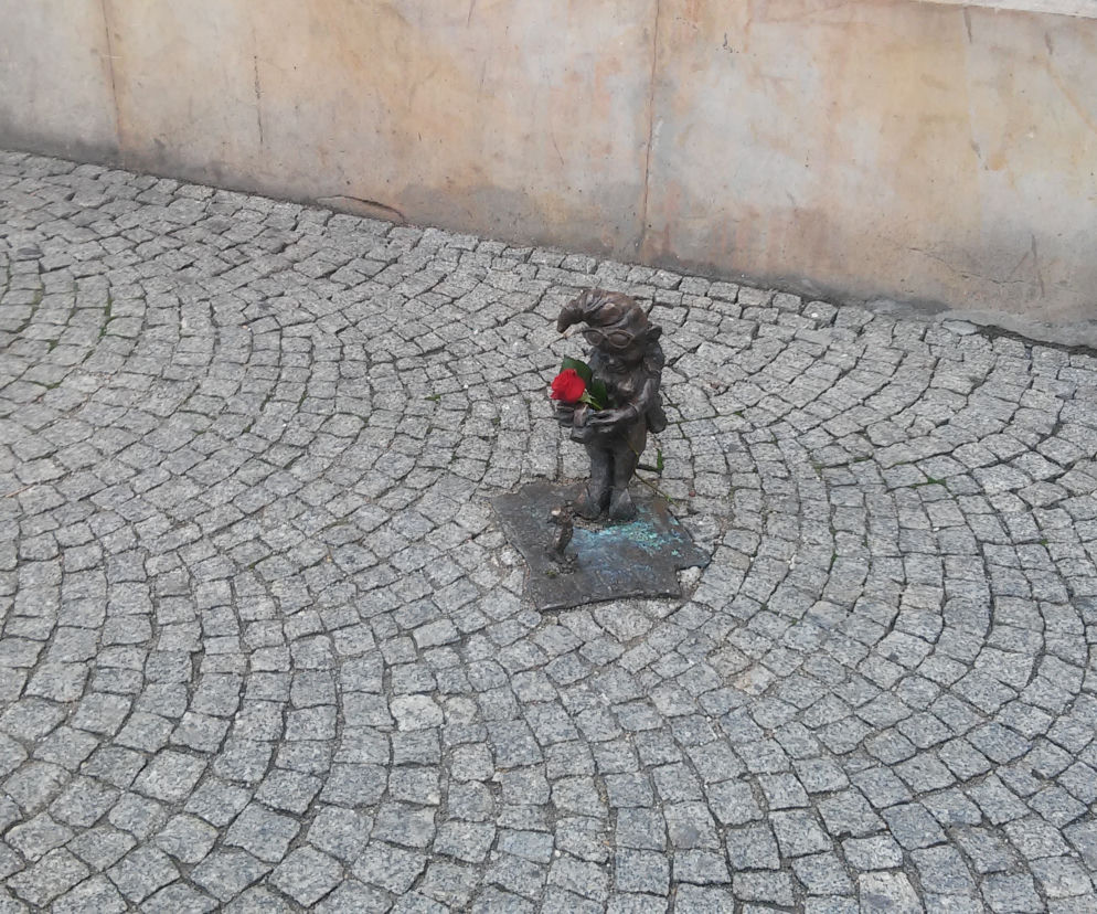 Para krasnali na wrocławskim rynku