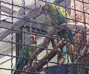 ZOO Toruń zaprasza!