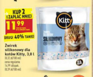 Szalone promocje na Dzień Kota w Biedronce