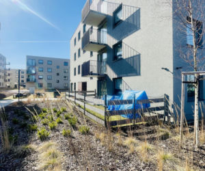 Katowice, osiedle mieszkań na wynajem przy Korczaka