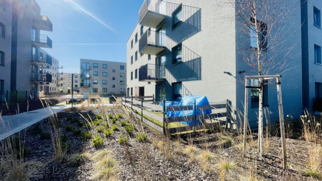 Katowice, osiedle mieszkań na wynajem przy Korczaka