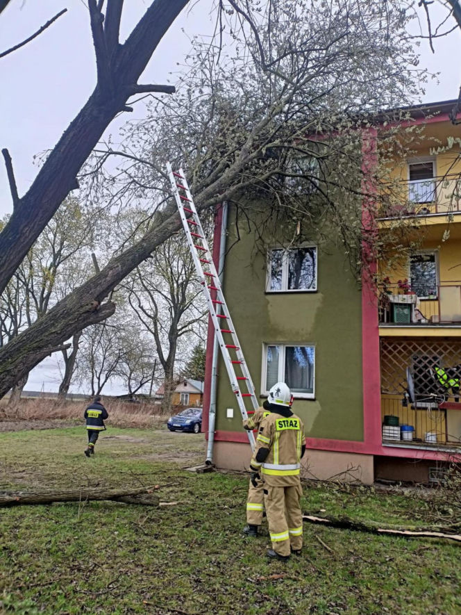 Interwencje Strażaków przy likwidacji szkód spowodowanych przez gwałtowny wiatr i burze