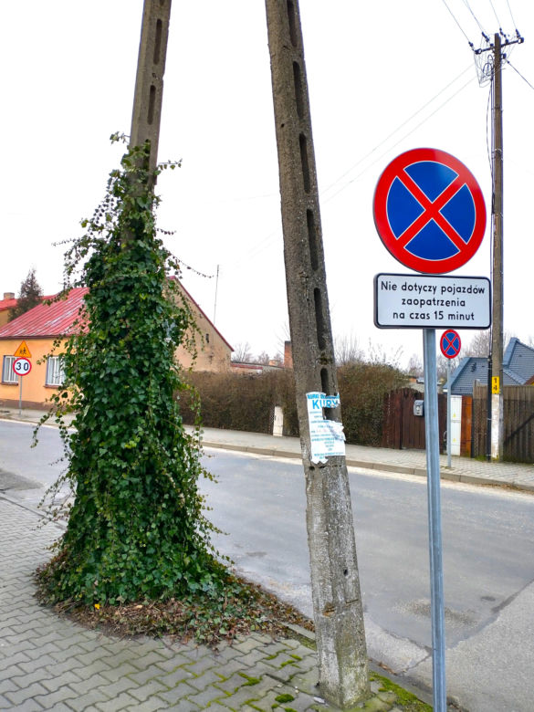 To najpiękniejsze miasteczko województwa łódzkiego. Leży nad jedną z najdłuższych rzek w Polsce