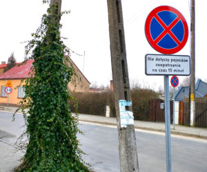 To najpiękniejsze miasteczko województwa łódzkiego. Leży nad jedną z najdłuższych rzek w Polsce