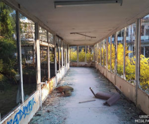 Okrąglaki w Miałkówku