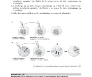 Matura 2018 z biologii [ARKUSZE CKE, ODPOWIEDZI]