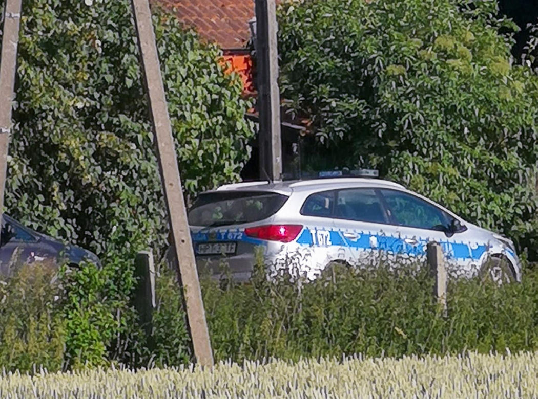 7-latka zagryziona przez psy pod Olsztynem. Makabra w prywatnej hodowli [ZDJĘCIA]