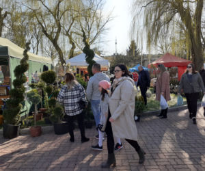 Fotorelacja z wydarzenia Wiosna na polu i w ogrodzie w Siedlcach w 2022 roku