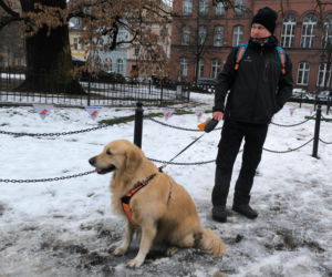 Spacer z pieskami w Lesznie