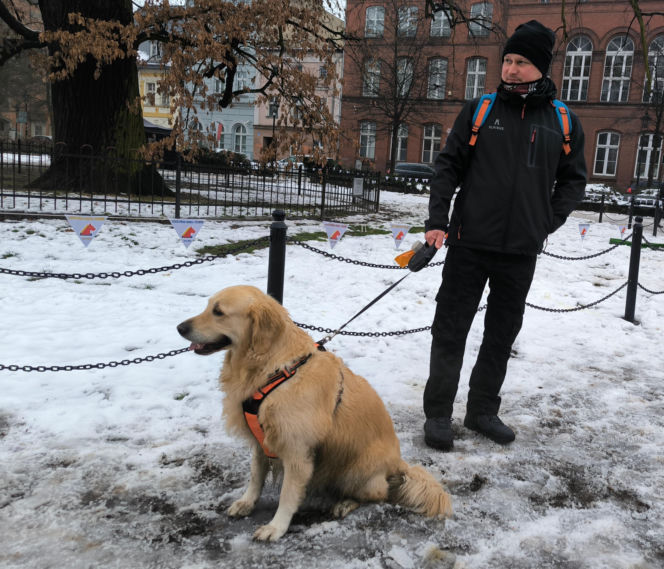 Spacer z pieskami w Lesznie