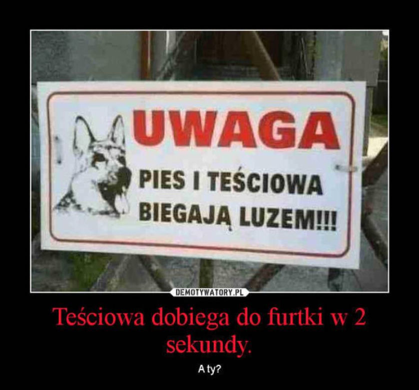 Dzień Teściowej 2020. Zobacz najlepsze memy