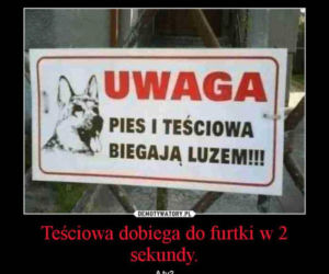 Dzień Teściowej 2020. Zobacz najlepsze memy