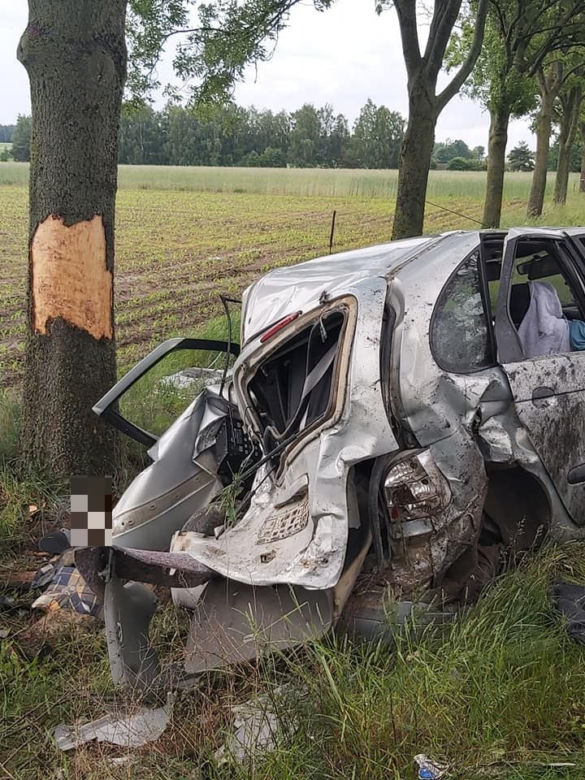 Jatwieź Duża. Wypadek: Kierowca renault rozbił się na drzewie [ZDJĘCIA]
