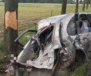 Jatwieź Duża. Wypadek: Kierowca renault rozbił się na drzewie [ZDJĘCIA]