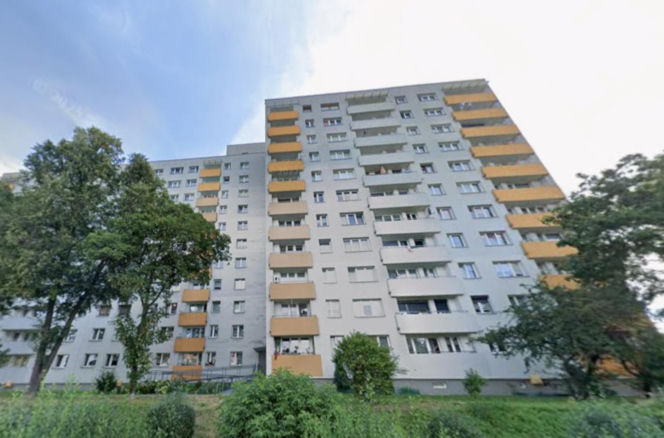 Mężczyzna strzelał do ptaków na osiedlu Syberka w Będzinie