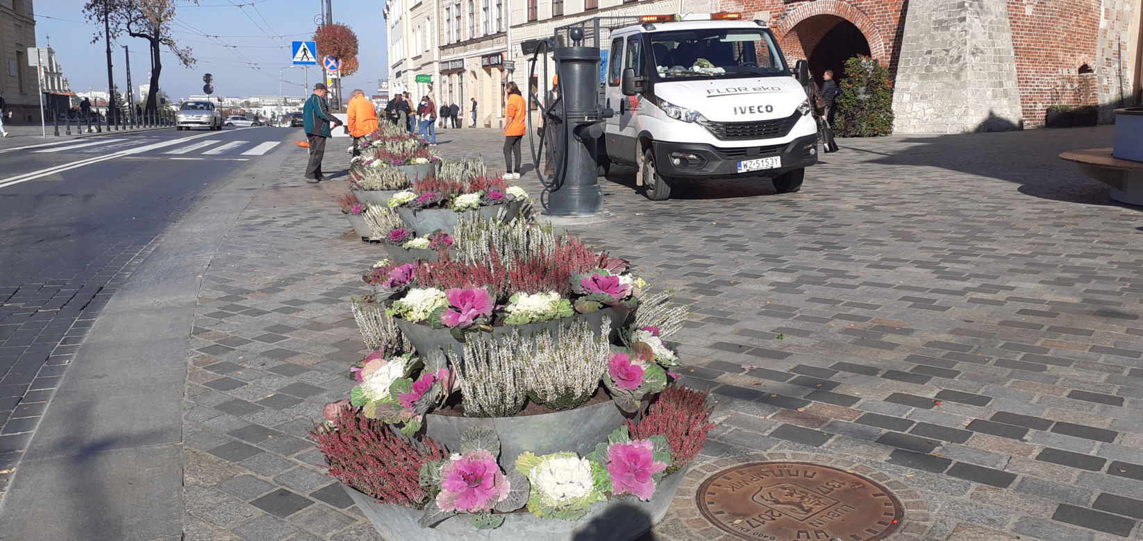 W mieście będzie jeszcze bardziej jesiennie. Ruszyła wymiana kwiatów