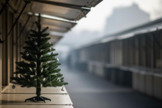 Choinkowe kontrole w Grudziądzu. Co naprawdę sprawdza policja?