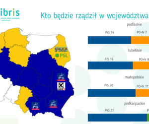 BADANIE STAYSTYCZNE - WYBORY