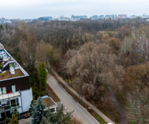 Przyszła trasa tramwaju wzdłuż Pola Mokotowskiego w Warszawie