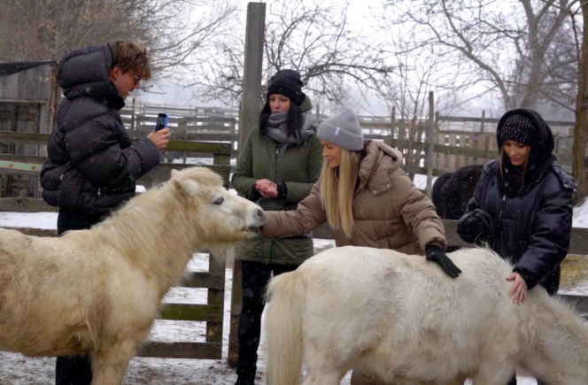 Joanna Krupa odwiedza schronisko dla zwierząt