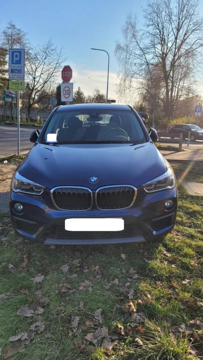 Miszczowie parkowania w Katowicach. Ich nikt tego nie nauczył