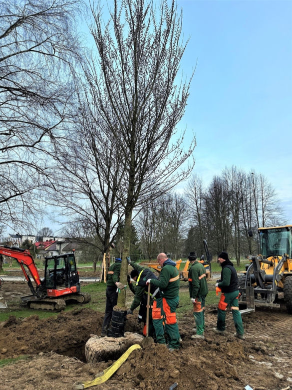 Park Ogród Płaszów się rozrasta. Wkrótce zazielenią się nowe drzewa
