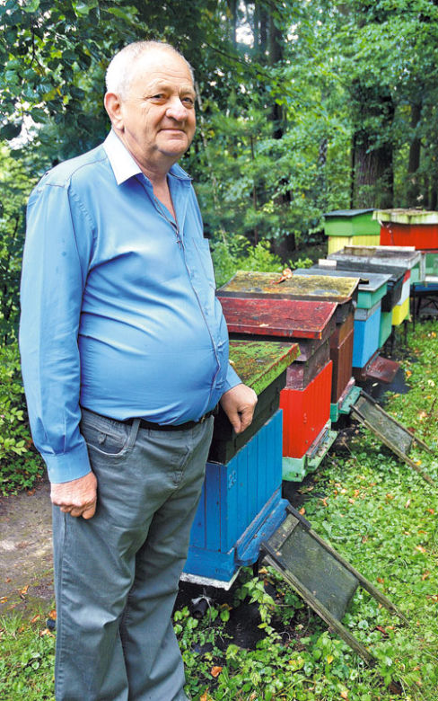 pszczoły sie nie mylą 