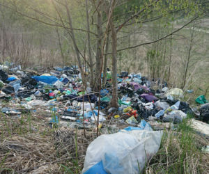 Nielegalne wysypisko przy trakcie spacerowym w okolicach ulicy Srebrnej