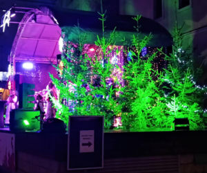 Jarmark Bożonarodzeniowy na Zamku Książąt Pomorskich w Szczecinie