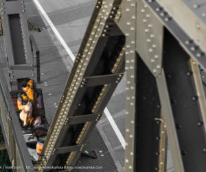 Most Europejski na Odrze w Siekierkach