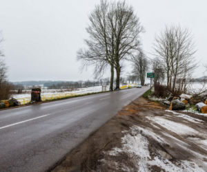 WARIAT Z PIŁĄ grasuje na Pomorzu! Naciął kilkadziesiąt drzew. Jedno RUNĘŁO NA DROGĘ