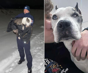 Baliśmy się, że nie przeżyje nocy. Zaginęła 16-letnia Dira. Leżała w polu i nie mogła wstać