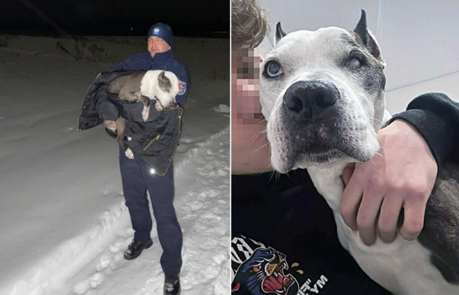 Baliśmy się, że nie przeżyje nocy. Zaginęła 16-letnia Dira. Leżała w polu i nie mogła wstać