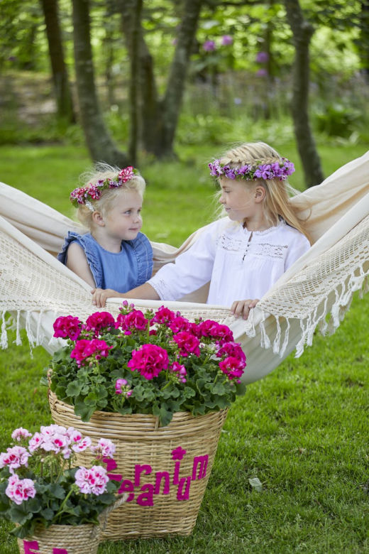 Wianki z kwiatów pelargonii
