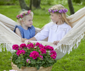 Wianki z kwiatów pelargonii