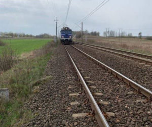 Przy torach kolejowych leżał ranny jeleń