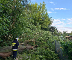Nawałnica przerwała dożynki. Namioty i drzewa runęły na ludzi. Jedna osoba walczyła o życie!