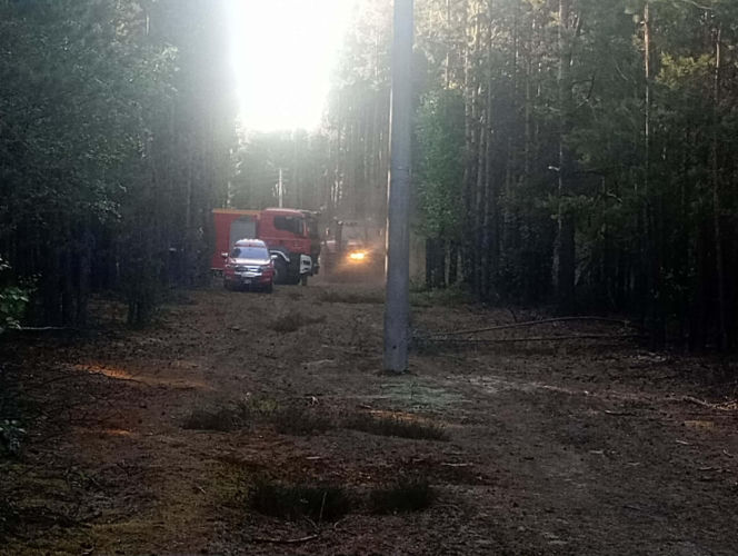 Pożar w powiecie wołomińskim
