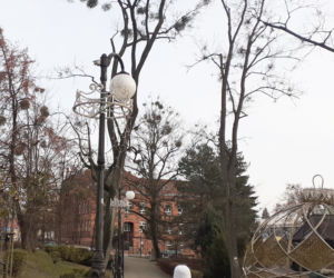 Ozdoby świąteczne miejskiej architektury w Iławie 2020 - zdjęcia dzienne