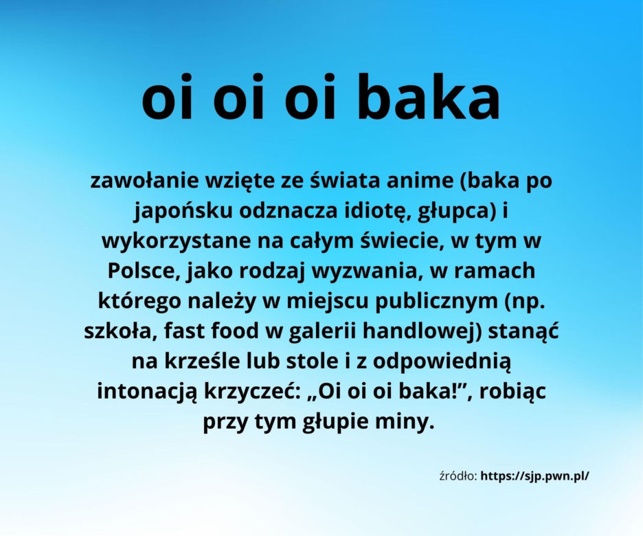 Młodzieżowe Słowo Roku 2024 