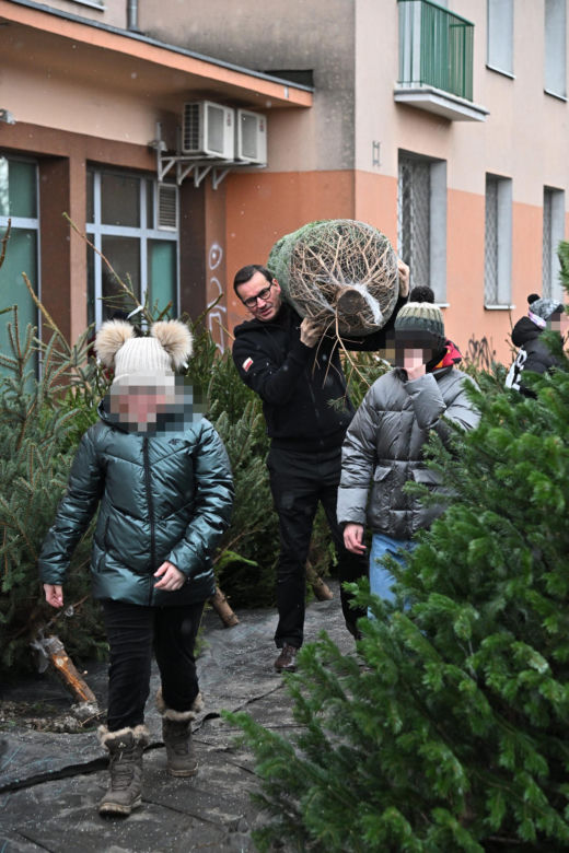 Morawiecki kupuje choinkę na święta
