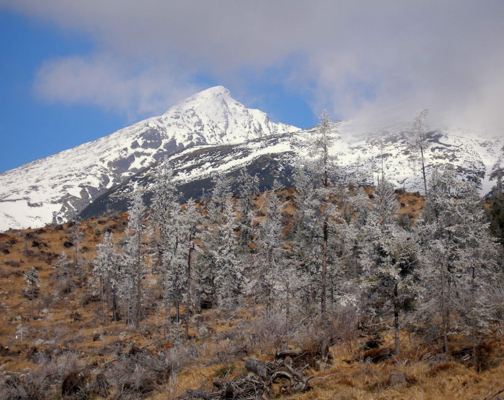 Krywań, Tatry