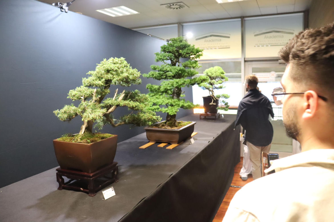 World Flower Show w Poznaniu