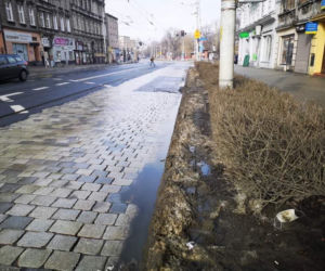 Przebudowa ulicy Pomorskiej we Wrocławiu powinna ruszyć już niedługo