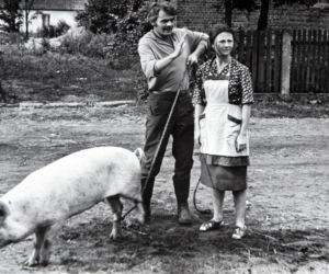 Jerzy Janeczek- zabiła go pszczoła
