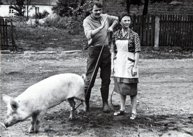Jerzy Janeczek- zabiła go pszczoła