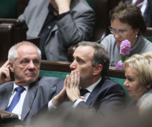 Grzegorz Schetyna, Stefan Niesiołowski